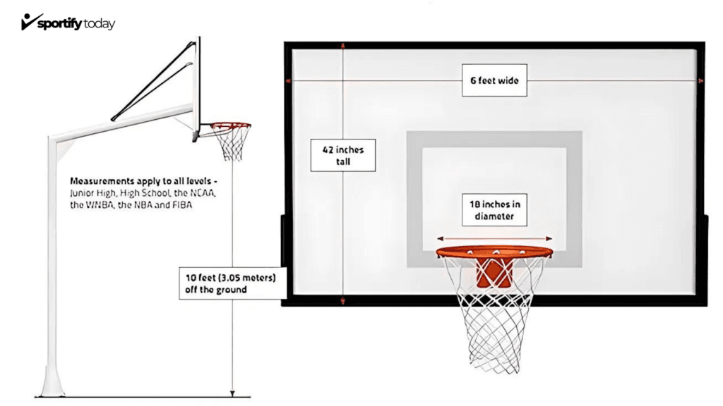 Basketball Board Dimensions and Height