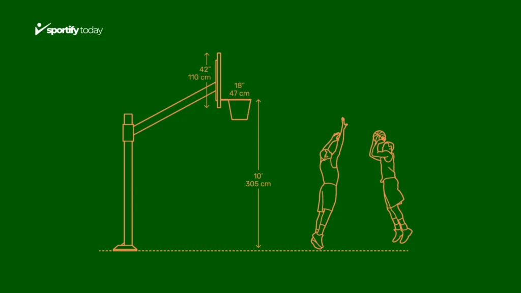 Standard Height of a Basketball Rim