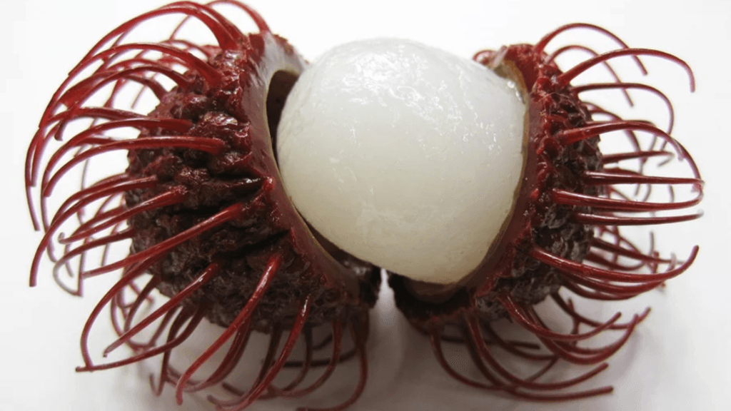 Advantages of rambutan fruit