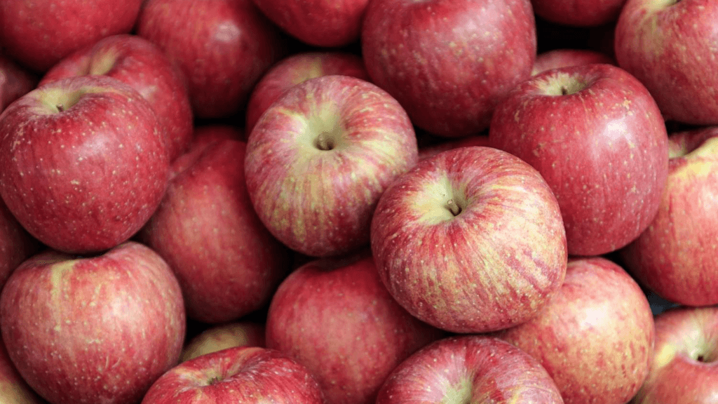 Apples is A Nutritional fruit for Weight Loss