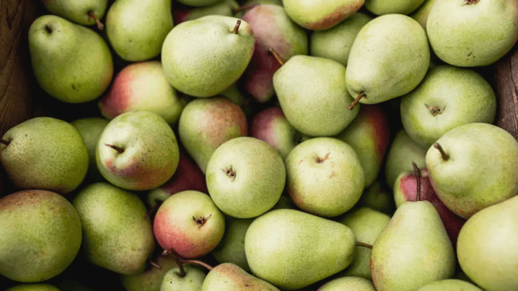 Pears are delicious and nutritious fruits to decrease weight loss