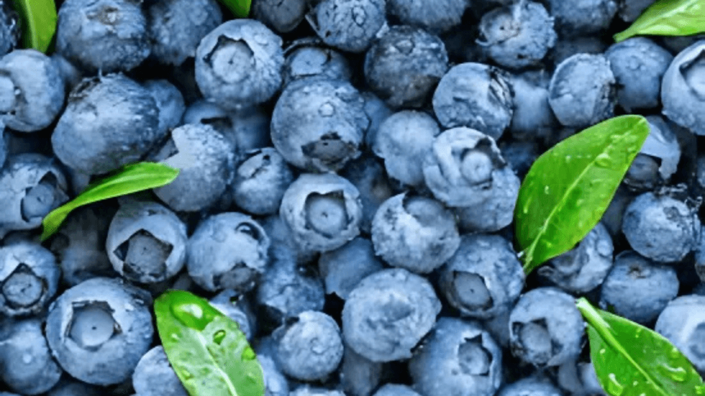 Proven Health Benefits of Blueberries