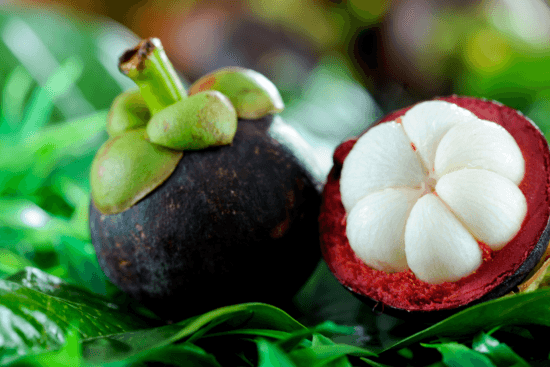 Unlock Mangosteen Benefits for Health and Wellness