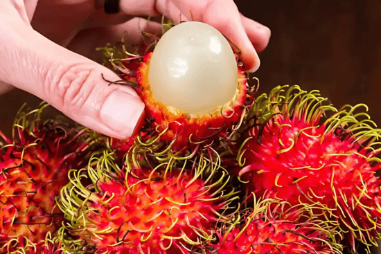 benefits of rambutan fruits