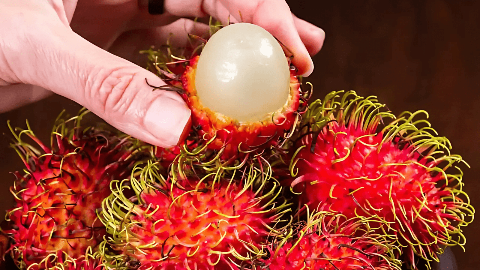 benefits of rambutan fruits